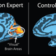 Image for article titled Some Blind People Trained Themselves to Use Echolocation